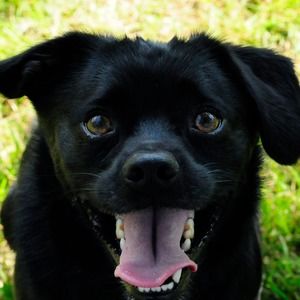 Meet your Posher, Jo